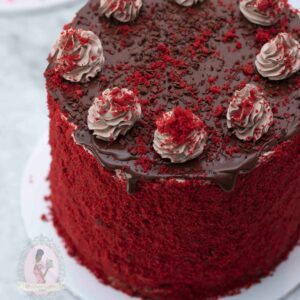 Red Velvet and Chocolate Ice-cream Cake